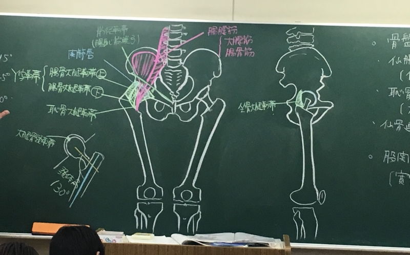 藤田先生の特技は･･･板書の絵！　　　　　　　　　　　　　　　　　非常に分かりやすいと学生さんから毎回、絶賛されています。